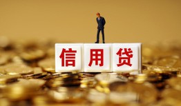 成都3哪有个人借贷-成都3小额贷款公司-成都3私借空放免费上门